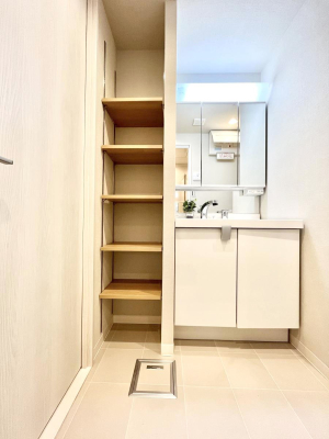 ̑ ֗ȃlɂŁAXbLg₷ʎ  