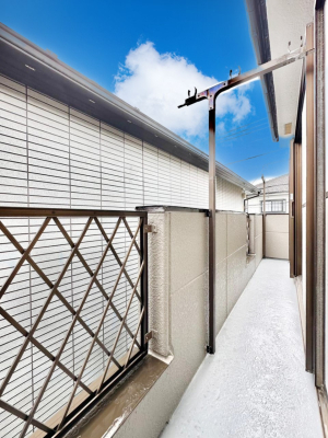 �o���R�j�[ �������o���R�j�[�������R��������̂������܂��B