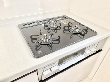 ���̑����� �O���K�X�R�����ł���������C�ɂ͂��ǂ肻���B  