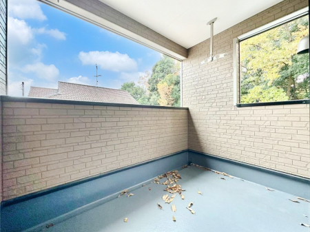 �o���R�j�[ �������o���R�j�[�������R��������̂������܂��B