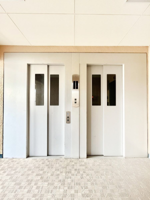 ̑ ̏艺ɕ֗ȃGx[^[I  