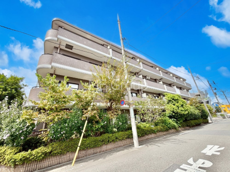 nOώʐ^ Ƃ肪Ί𐶂ސSn悢     