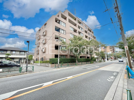 nOώʐ^ Ƃ肪Ί𐶂ސSn悢   