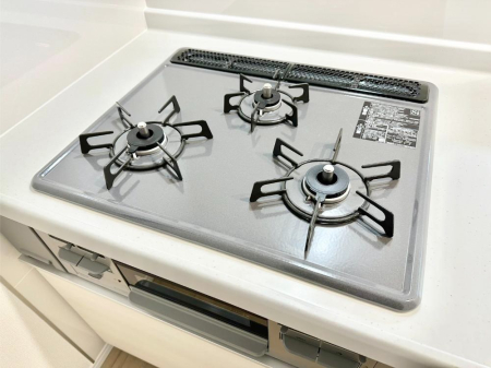 ���̑����� �O���K�X�R�����ł���������C�ɂ͂��ǂ肻��  