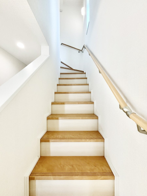 ���̑� �K�i�͎肷��t���Ȃ̂ŏ����Ȃ��q���܂₲����̕������S�ł�