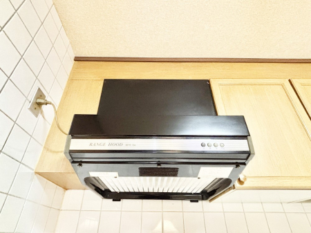 ̑ {IȂ̓tB^[̂݁Î₷͂łB