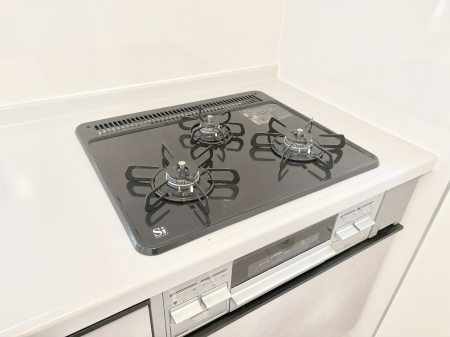 ���̑����� �O���K�X�R�����ł���������C�ɂ͂��ǂ肻���B  