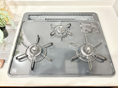 ���̑����� �O���K�X�R�����ł���������C�ɂ͂��ǂ肻��  