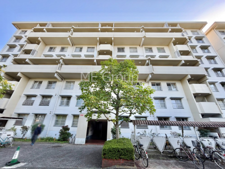 nOώʐ^ złƑ̏ΊP @