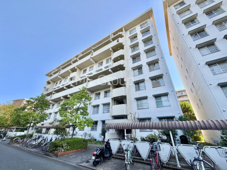 nOώʐ^ Ƃ肪Ί𐶂ސSn悢 @