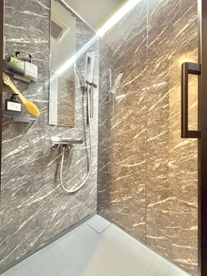 ̑ V[[̓oX^uȂA|ȒPł