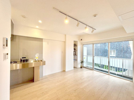 ̑ 傫ȑ炽Ղ̗zƕ_CjO  