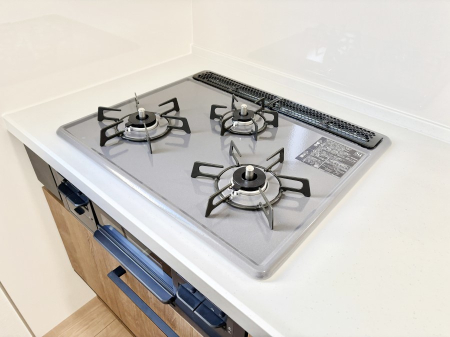 ���̑����� �O���K�X�R�����ł���������C�ɂ͂��ǂ肻��  