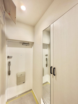 ���� �~���[�t���V���[�Y�{�b�N�X�͂��o�����O�̐g�����Ȃ݃`�F�b�N�ɕ֗�