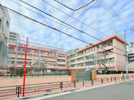 ӊ ctEۈ牀 240m ƂԂǂ