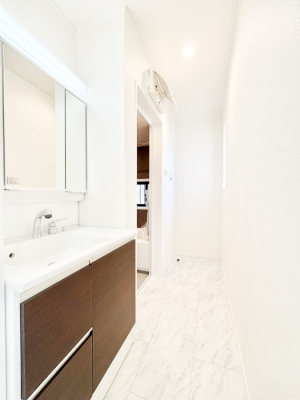 ���ʑ�E���ʏ� �_�炩�Ȓ��̌����������鑋���������ʎ�