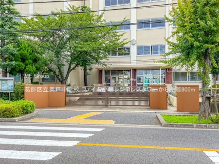 ӊ wZ 800m 旧˒wZ