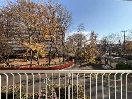 ���̑� �o���R�j�[����̒��]�ł�