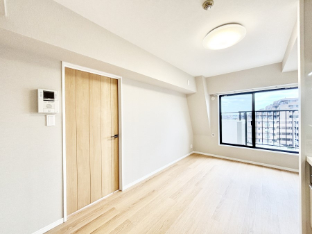 rO 傫ȑ炽Ղ̗zƕ郊rO