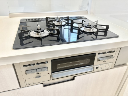 ���̑����� �O���K�X�R�����ł���������C�ɂ͂��ǂ肻���B  