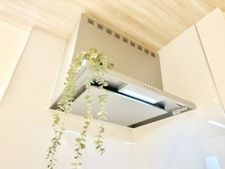 ̑ {IȂ̓tB^[̂݁Î₷͂łB