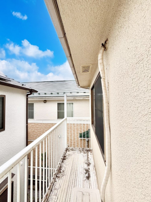 �o���R�j�[ �C�����悢�z���ƕ����������܂�  �@