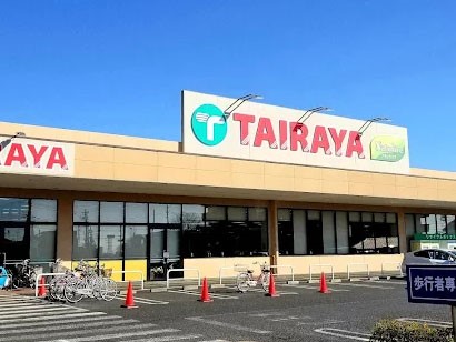 ӊ X[p[ 1100m TAIRAYA_X