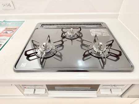 ���̑����� �O���K�X�R�����ł���������C�ɂ͂��ǂ肻���B  