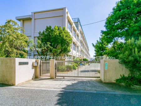 ӊ wZ 300m cJ旧xmwZ