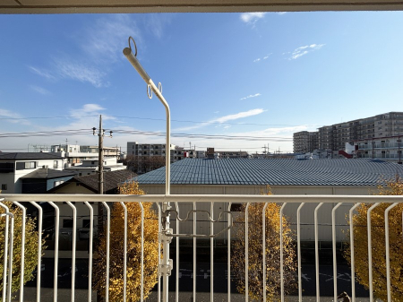 ���̑� �o���R�j�[����̒��]�ł�