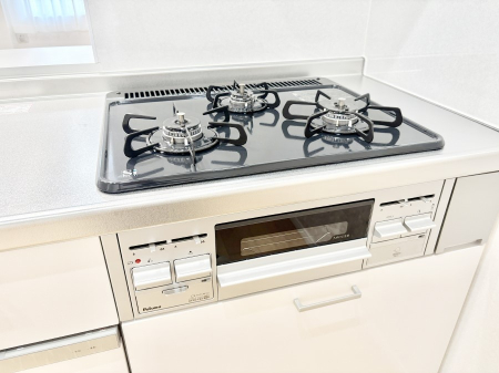 ���̑����� �O���K�X�R�����ł���������C�ɂ͂��ǂ肻��  