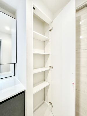 ���̑����� �֗��ȃ��l���ɂŁA�X�b�L�������g���₷�����ʎ���  