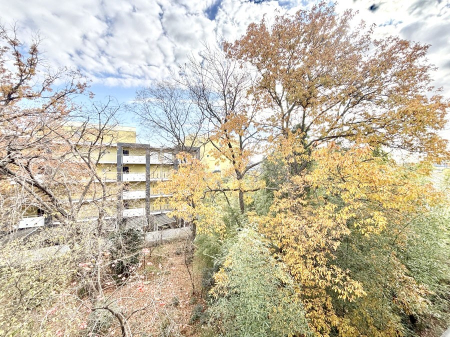 ���̑� ���Z�܂�����̒��]�ł��I  