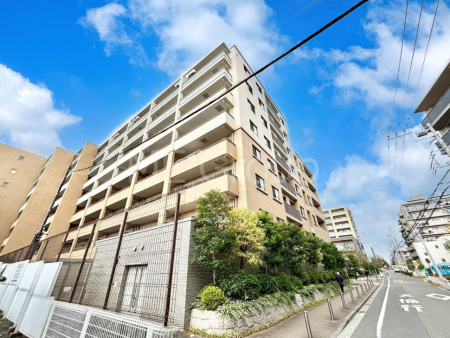 ���n�O�ώʐ^ ����z���ł��Ƒ��̏Ί���P�� 