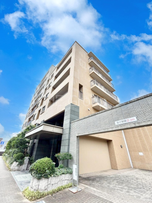 ���n�O�ώʐ^ ��������n�܂�V�����������������܂�