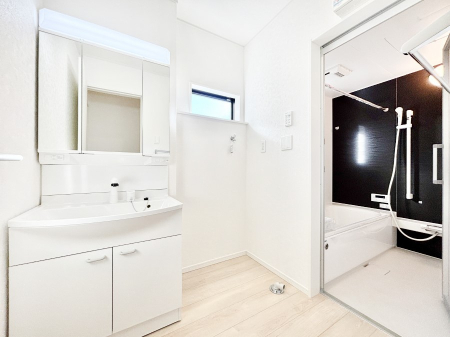 ���̑� �_�炩�Ȓ��̌����������鑋���������ʎ�