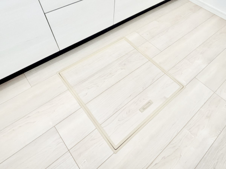 ���̑����� �������[�t���I���p�i�E���p�i�̎��[�ɂ��劈��B