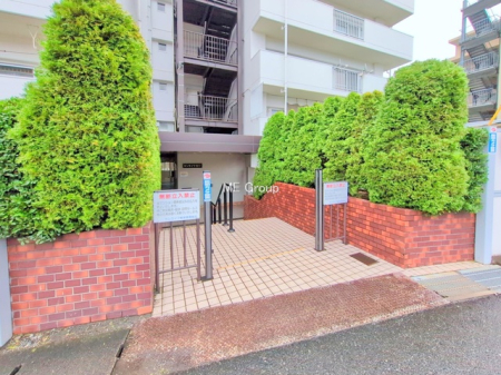 �G���g�����X -