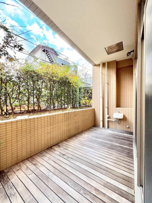 ���̑� �e���X�t���Ōˌ����o�����킦��I���������Ԃ̏[���ɂ��Ȃ肻���ł���