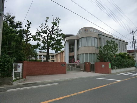 ӊ ctEۈ牀 500m ct