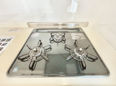 ���̑����� �O���K�X�R�����ł���������C�ɂ͂��ǂ肻���B  