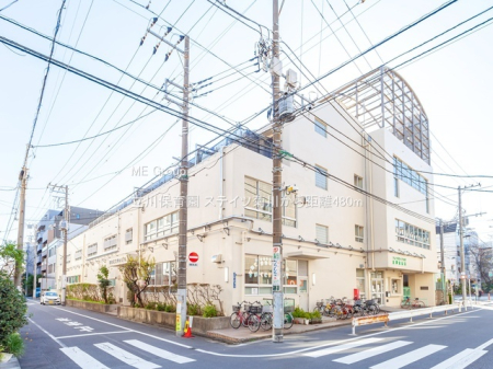 ���ӊ� �c�t���E�ۈ牀 480m ����ۈ牀