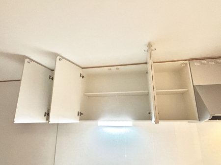 ̑ Lb`݌˒Iɂ gppx̒ႢȂǂ[ł܂B