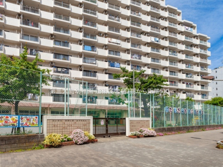 ӊ ctEۈ牀 510m O哇ct