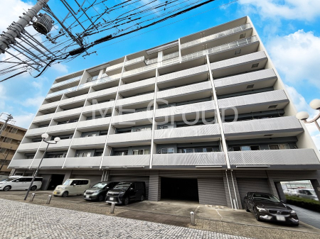 nOώʐ^ Ƃ肪Ί𐶂ސSn悢