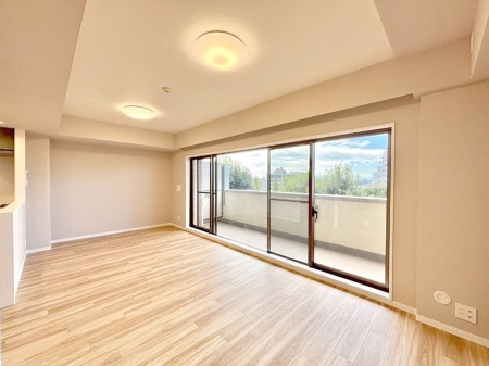 rO 傫ȑ炽Ղ̗zƕ郊rO  