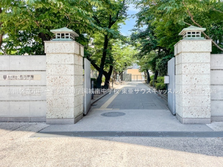 ӊ wZ 260m i旧эZiw쒆wZ