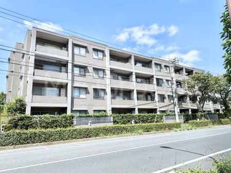 nOώʐ^ Ƃ肪Ί𐶂ސSn悢 