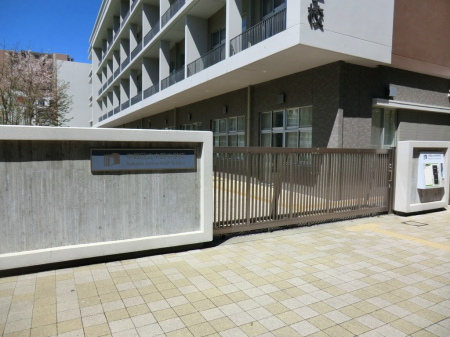 ӊ wZ 100m 旧쒆wZ