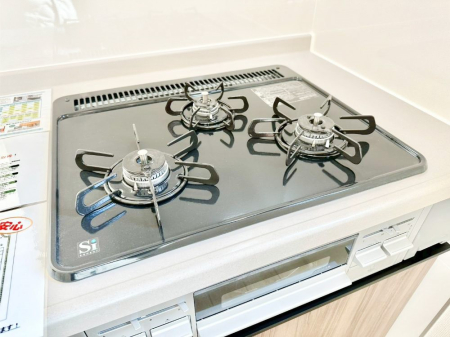 ���̑����� �O���K�X�R�����ł���������C�ɂ͂��ǂ肻���B  